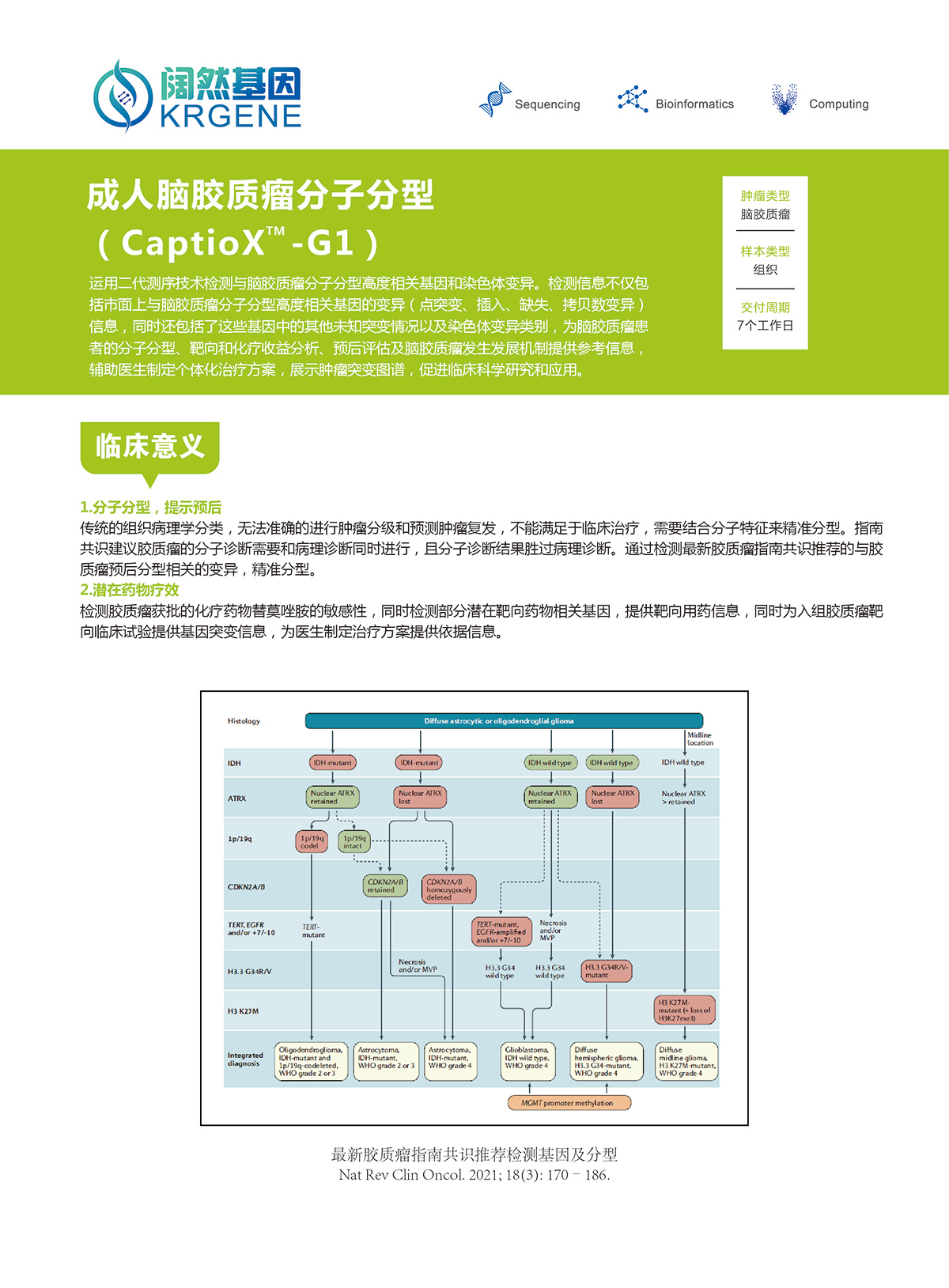 成人脑胶质瘤