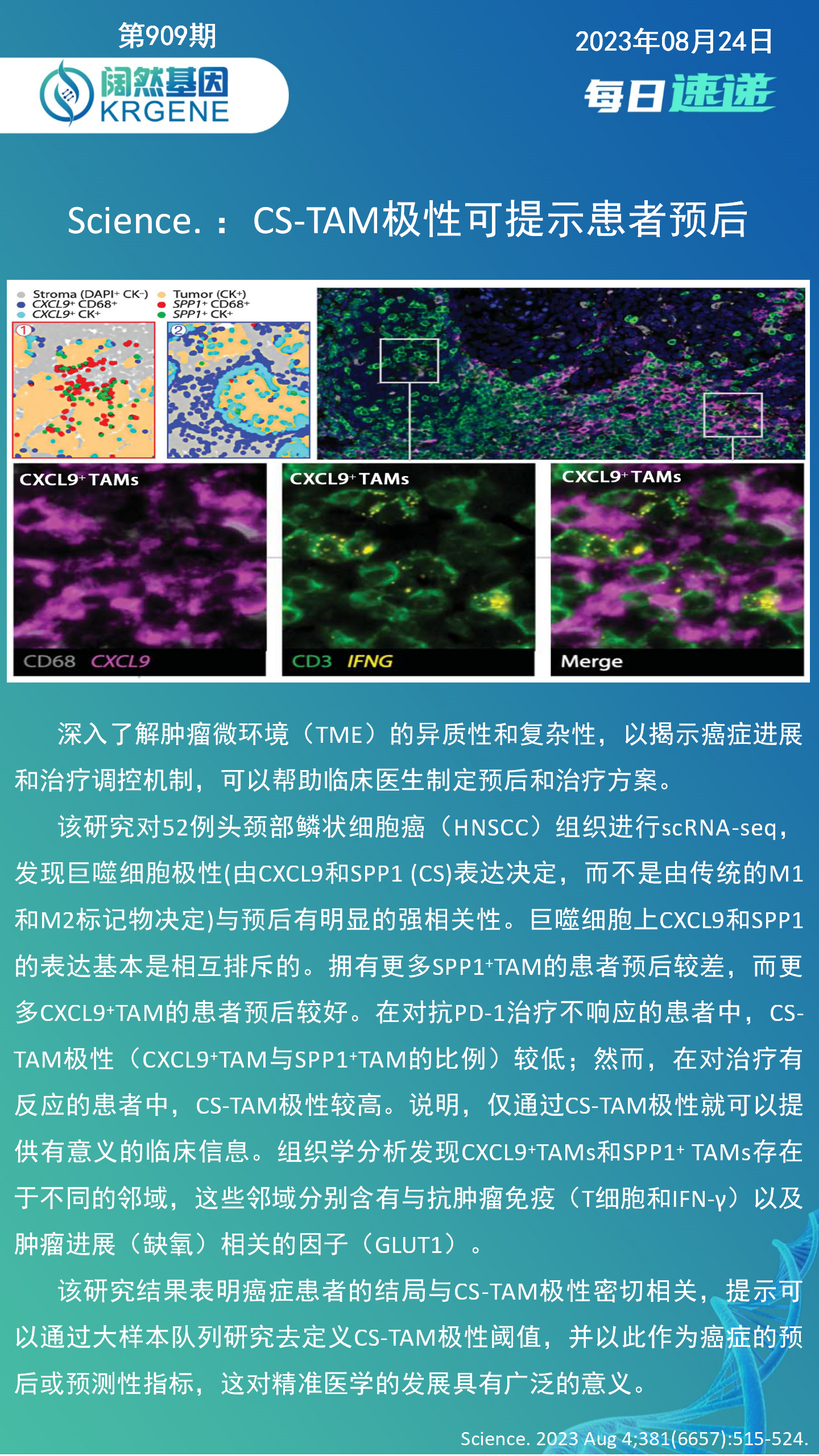 新澳彩资料免费资料大全33图库