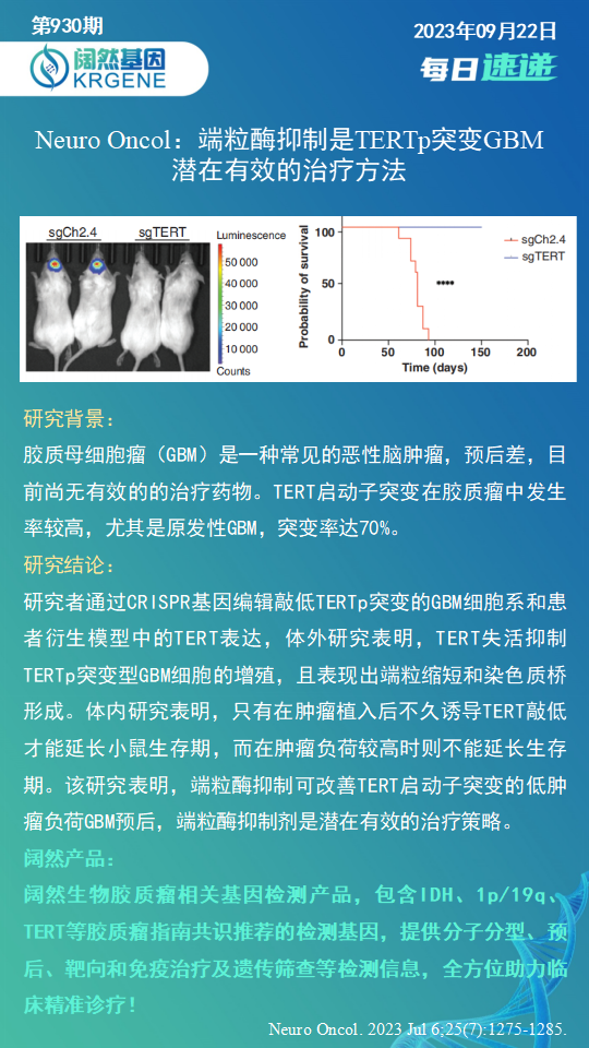 新澳彩资料免费资料大全33图库