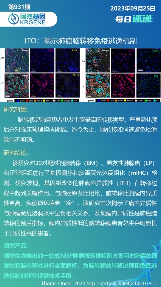 新澳彩资料免费资料大全33图库