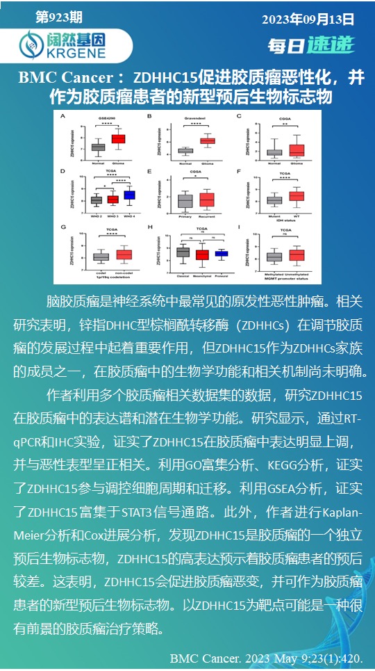 新澳彩资料免费资料大全33图库