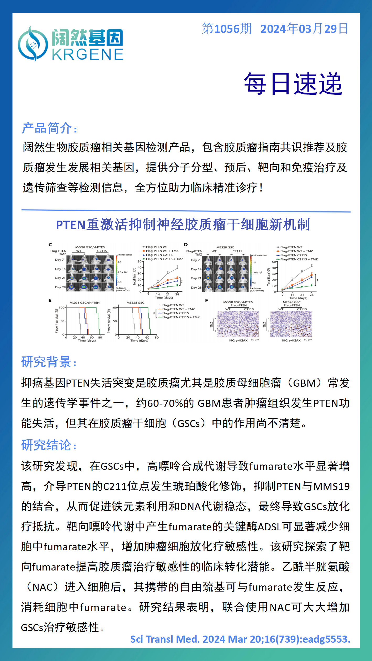 新澳彩资料免费资料大全33图库