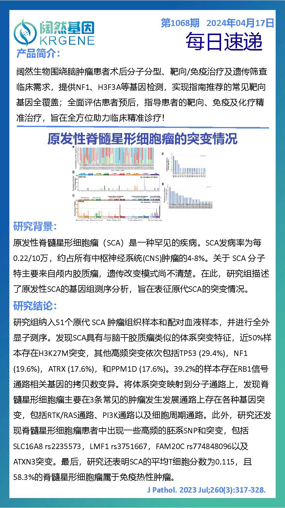 新澳彩资料免费资料大全33图库