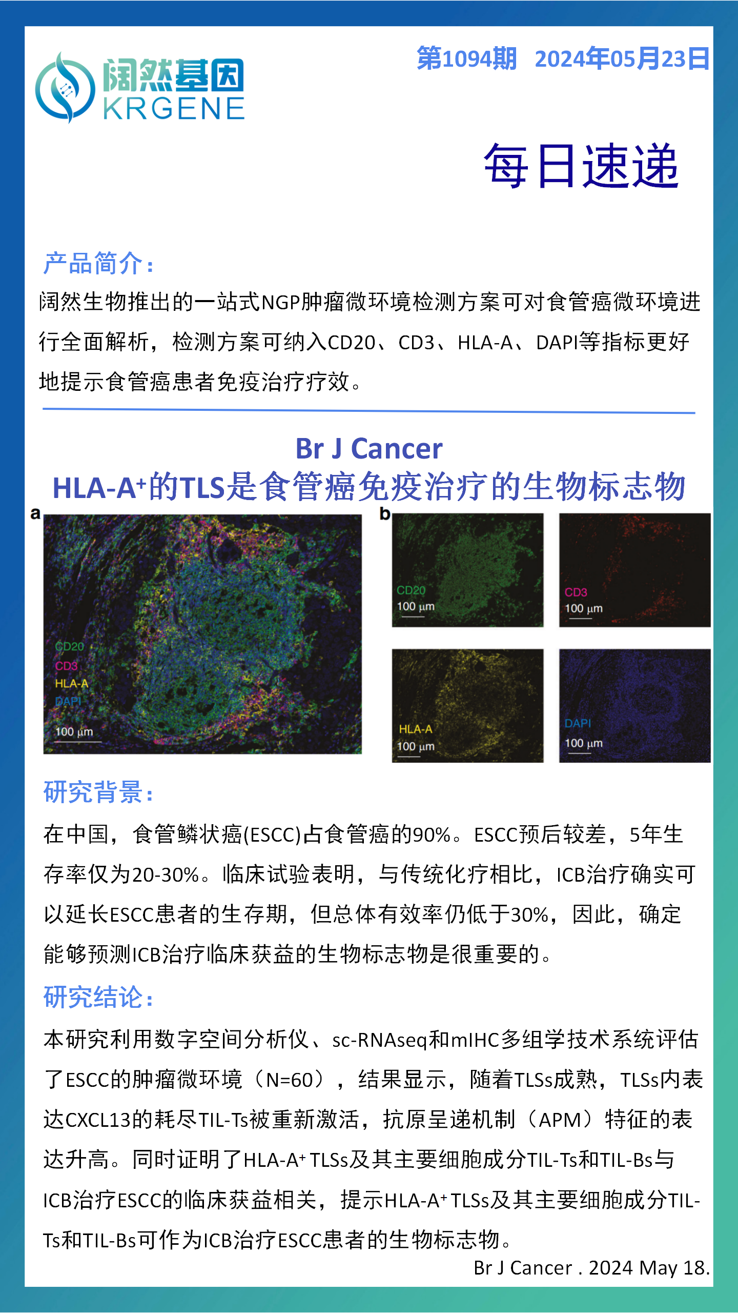 新澳彩资料免费资料大全33图库